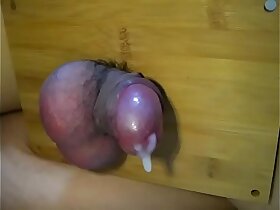 睾丸潰しで射精するチンポ