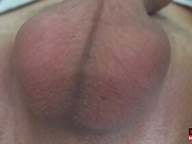 Eggs and scrotum in motion Mikel Prado Dick Evolution